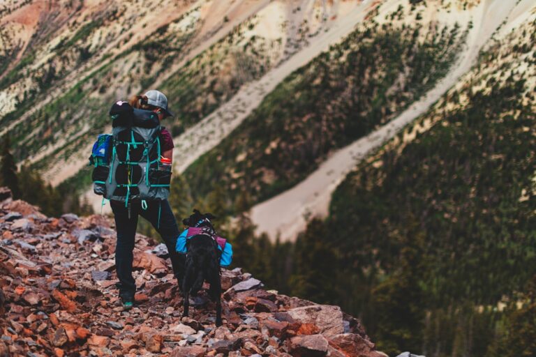 Hiking Safety: Gear That Can Save Your Life Outdoors